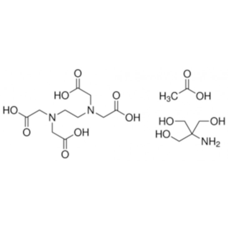 TRIS ACETATE EDTA TAMPON SIGMA T6025-1L