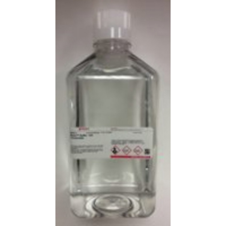 SOLUTION TAMPON BIONIC 10X SIGMA B6185 - 1L