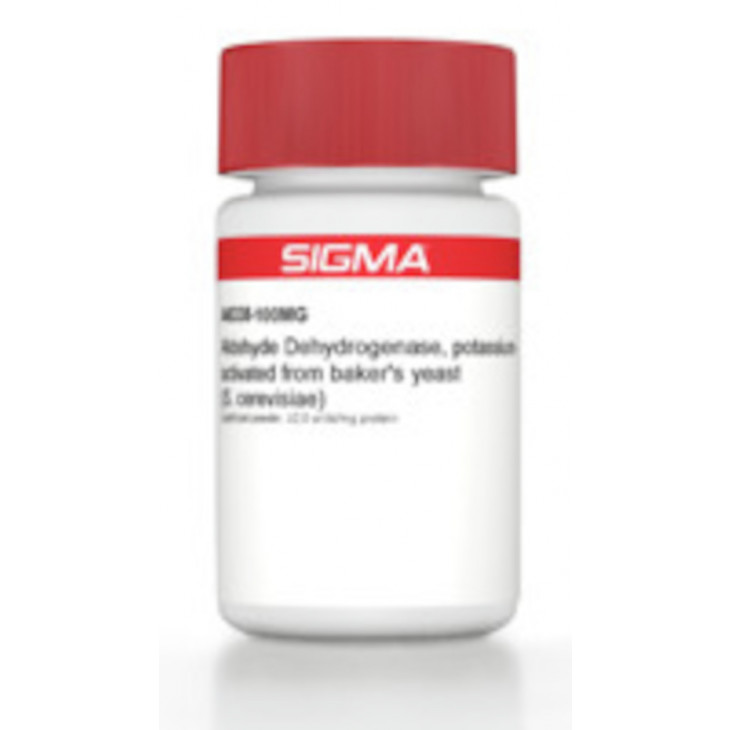 ALDEHYDE DEHYDROGENASE K ACTID DE BAKER'S YEAST A6338-25UN