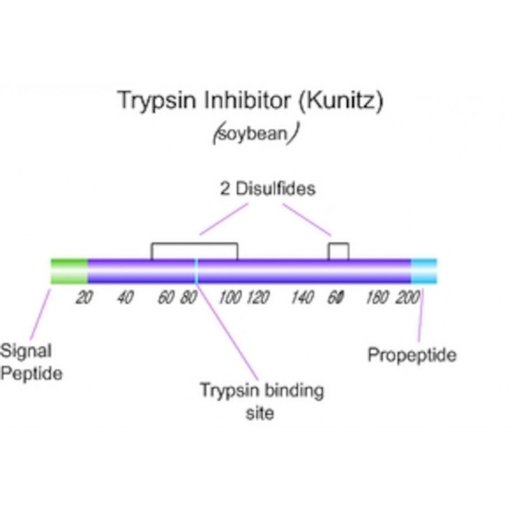 INHIBITEUR DE LA TRYPSINE T6522 - 25MG