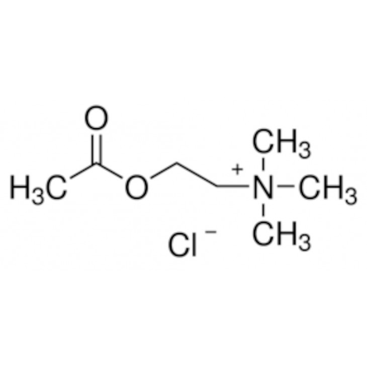 ACETYLCHOLINE CHLORURE >99% SIGMA A6625 - 25G