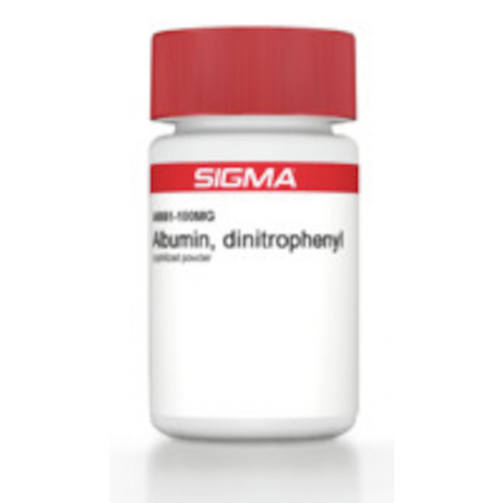 ALBUMIN DINITRPHENYL SIGMA A6661 - 100MG