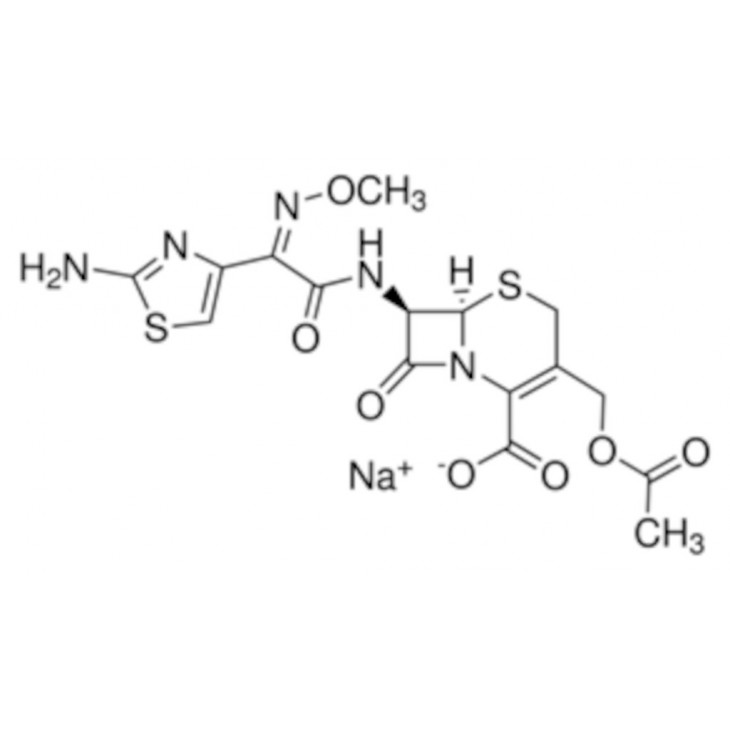 CEFOTAXIME SEL DE SODIUM C7039 - 100 MG