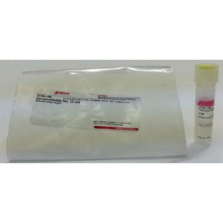 DEOXYNUCLEOTIDE MIX 10NM SIGMA D7295 - 0.2ML