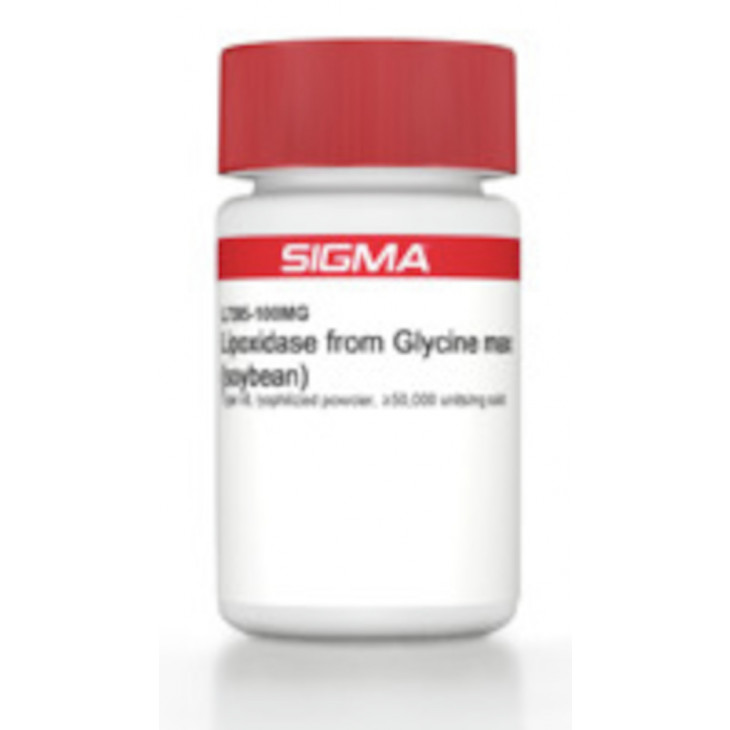 LIPOXIDASE TYPE I-B DE GLYCINE MAX POUDRE SIGMA L7395 - 15 MU