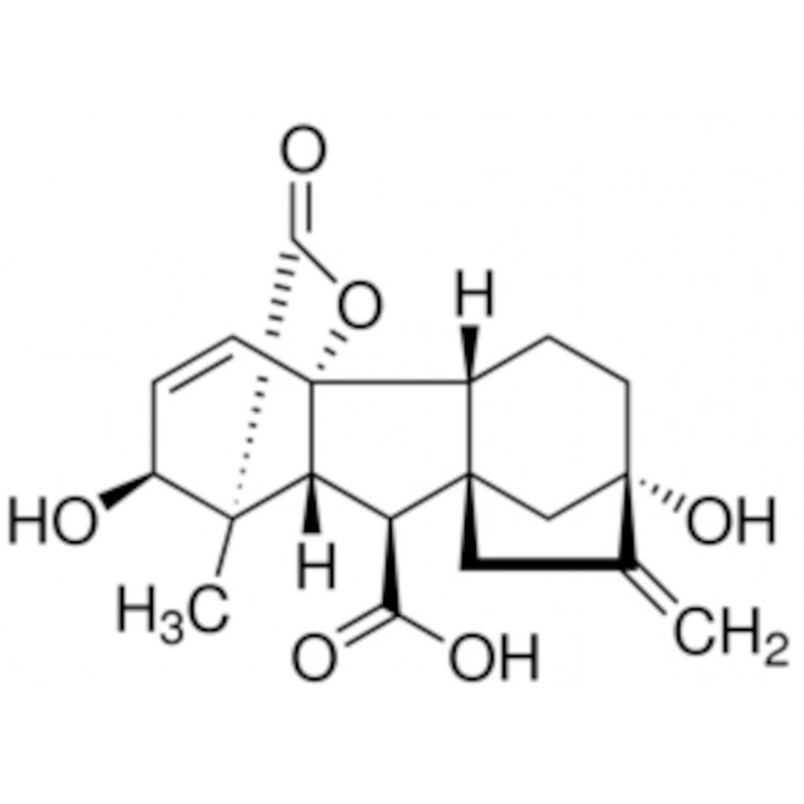 ACIDE GIBBERELLIQUE BIOREAGENT >90% - G7645 - 1G