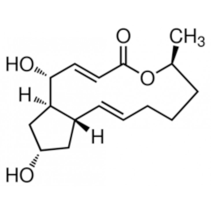 BREFELDIN A 99% SIGMA B7651 - 5MG