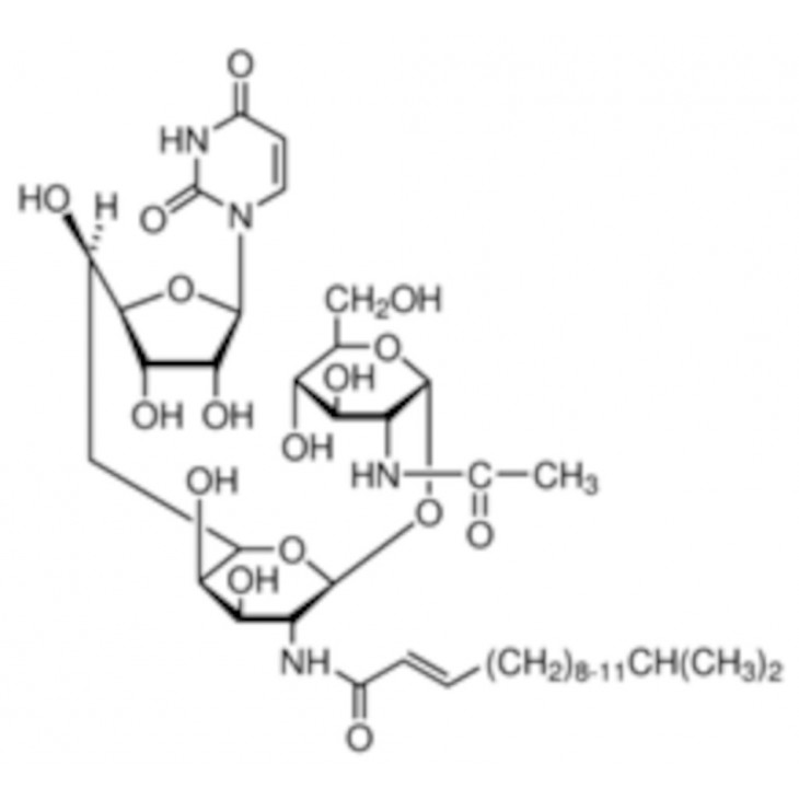 TUNICAMYCINE DE STREPTOMYCES SP. SIGMA T7765 - 1MG