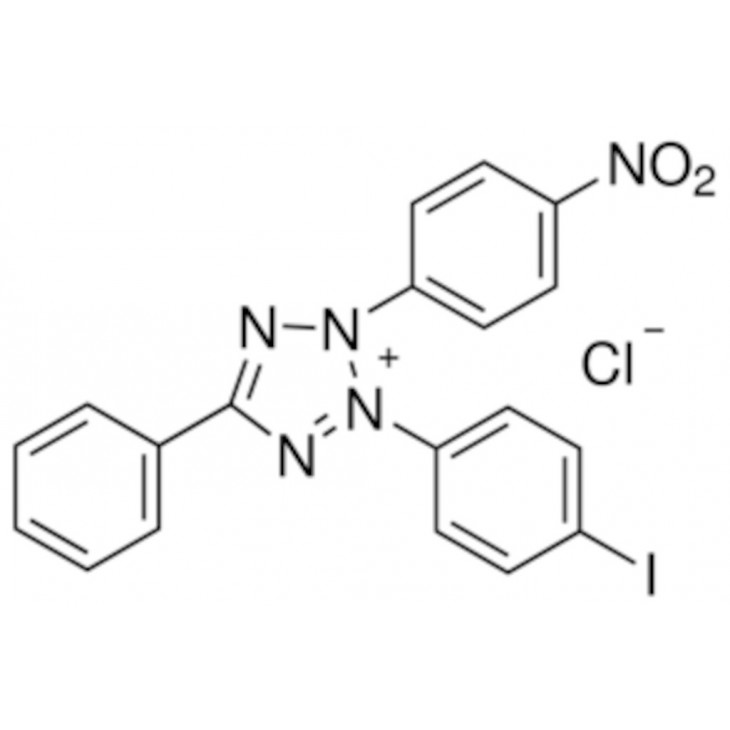 CHLORURE IODONITROTETRAZOLIUM SIGMA I8377 - 250MG