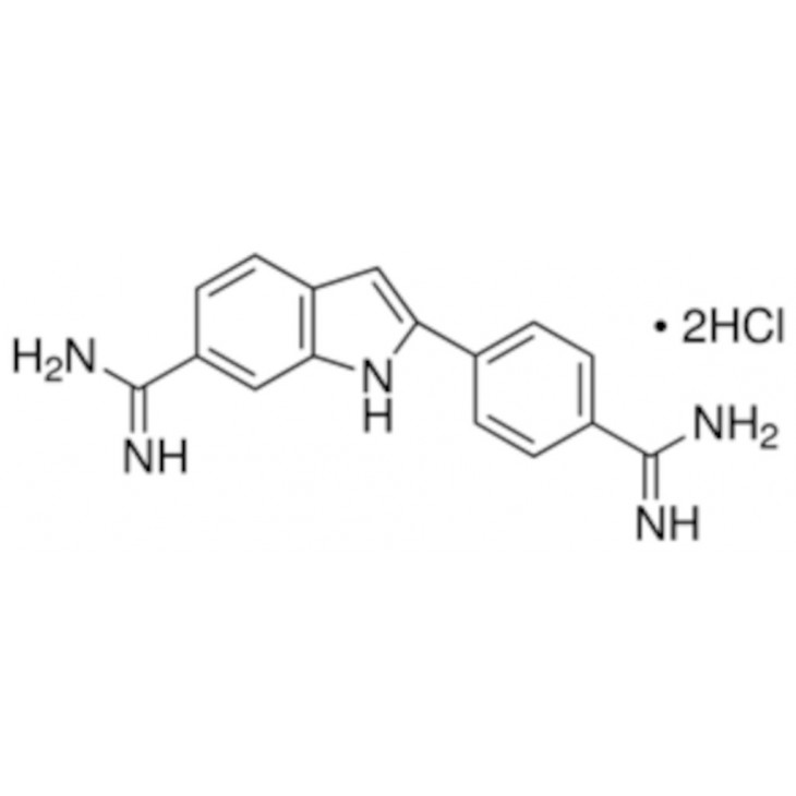A',6-DIAMIDINO-2-PHENYLINDOLE DIHYDROCHLORIDE D8417 - 10MG