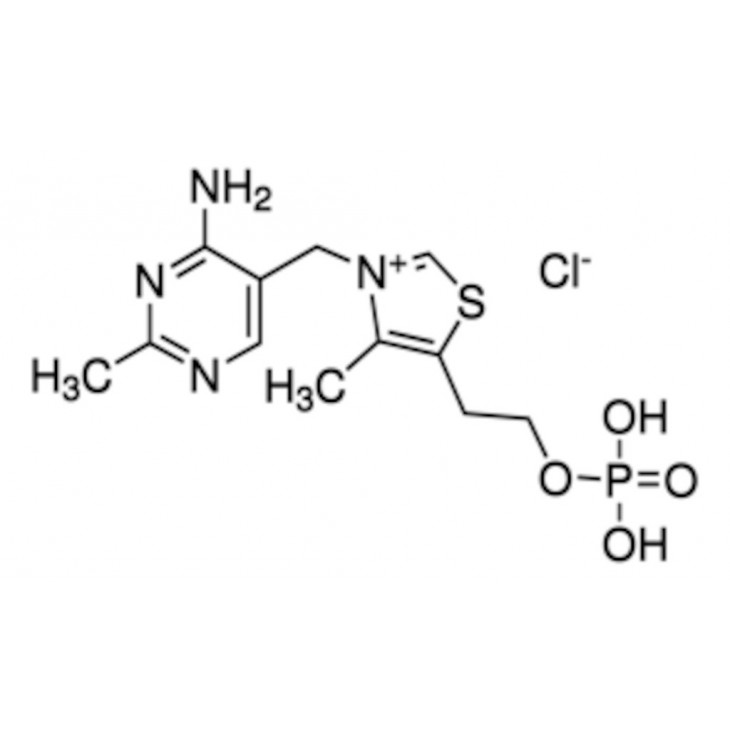 THIAMINE MONOPHOSPHATE CHLORI- DE 2H2O SIGMA T8637 - 5G