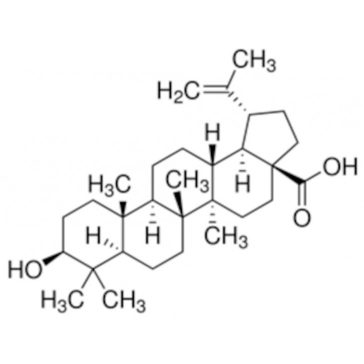 BETULINIC ACID SIGMA B8936-5MG