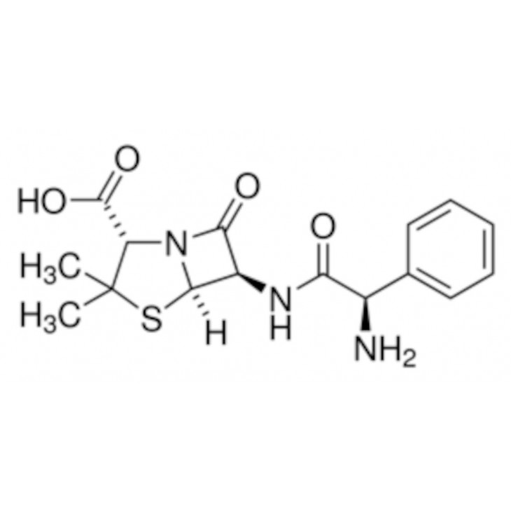 AMPICILLINE SIGMA A 9393 5 G