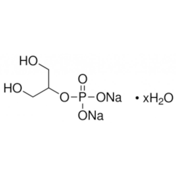 GLYCEROPHOSPHATE DISODIUM SALT HYDRATE >99% SIGMA G9422 - 10G