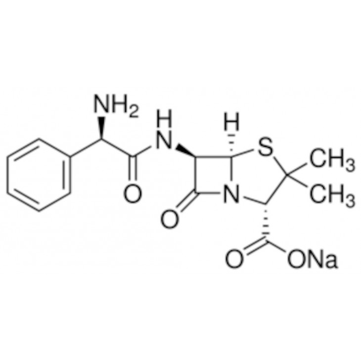 AMPICILLINE SODIQUE - SIGMA A9518 - 5G