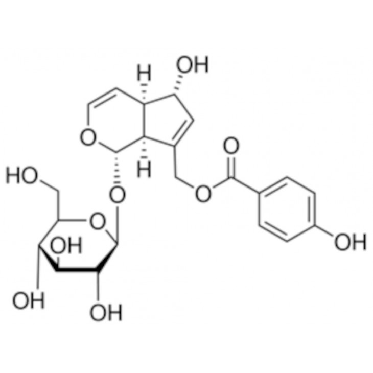 AGNUSIDE - SIGMA 12274 - 10MG