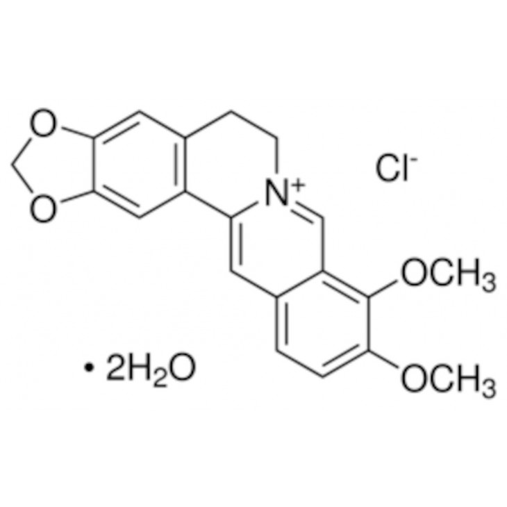 BERBERINE CHLORURE HYDRATE 90% SIGMA 14050 - 10G
