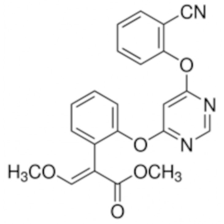 AZOXYSTROBINE STANDARD ANALY- TIQUE FLUKA 31697-100MG