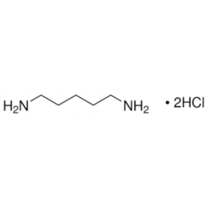 CADAVERINE DIHYDROCHLORIDE SIGMA 33220 - 10G