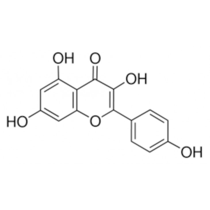 KAEMPFEROL >97% (HPLC) SIGMA 60010-100MG