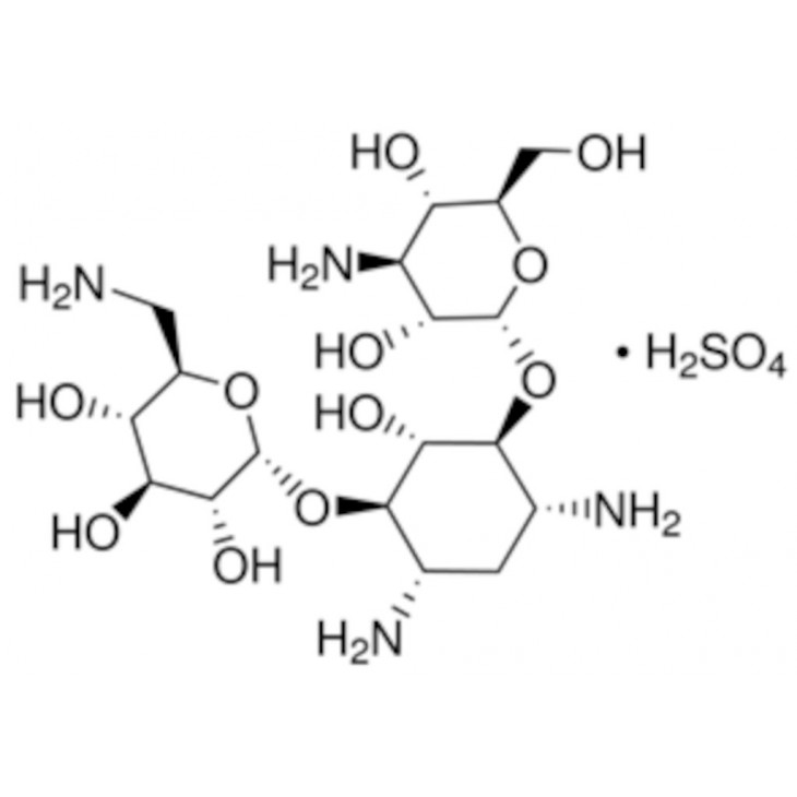 KANAMYCINE SULFATE SIGMA 60615 - 5G