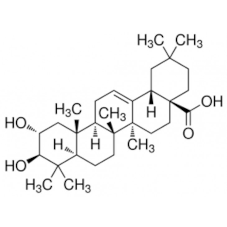 ACIDE MASLINIQUE SIGMA - 68594 - 5MG