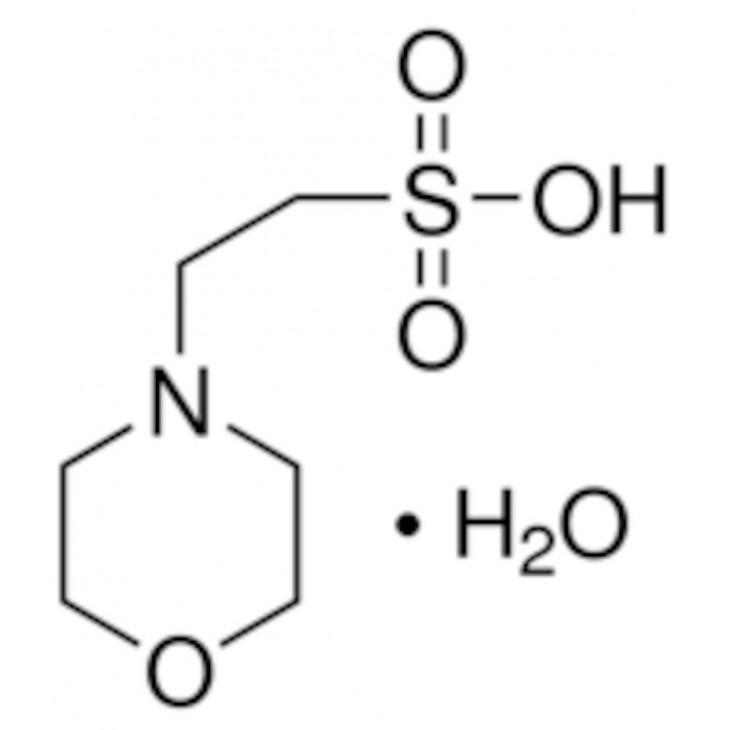 MES MONOHYDRATE BIOULTRA >99,5% - 69889 - 10G