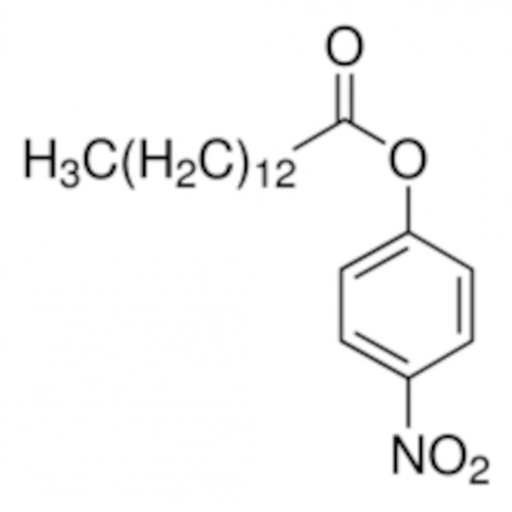 4-NITROPHENYL MYRISTATE >95% (HPLC) - SIGMA 70124 - 1G