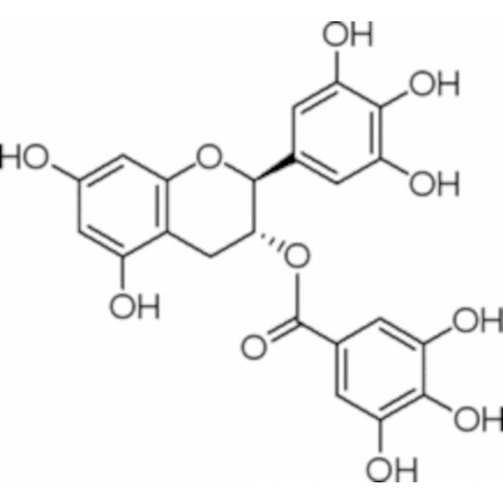 GALLATE DE (-)-GALLOCATECHINE SIGMA - 80352 - 10MG