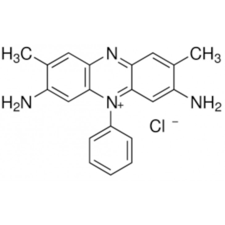SAFRANINE O PR LA MICROSCOPIE SIGMA - 84120 - 100G