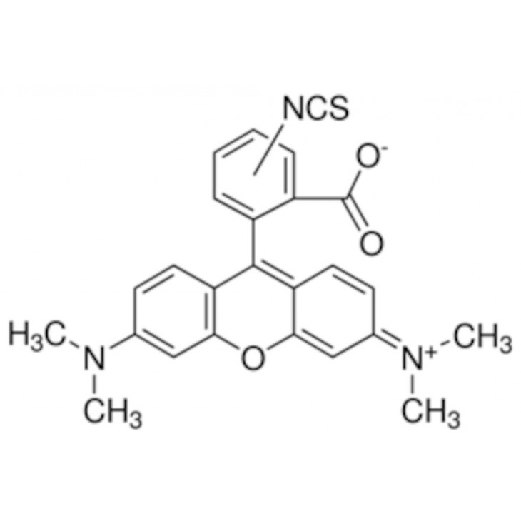 ISOTHIOCYANATE DE TETRAMETHYL- RHODAMINE B FLUKA 87918 - 50MG
