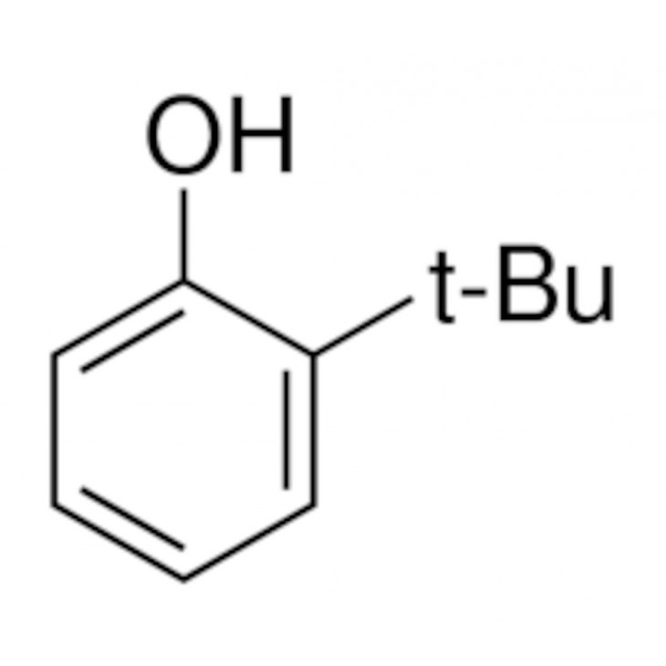 2-TERT-BUTYLPHENOL 99% ALDRICH B99405 - 500ML