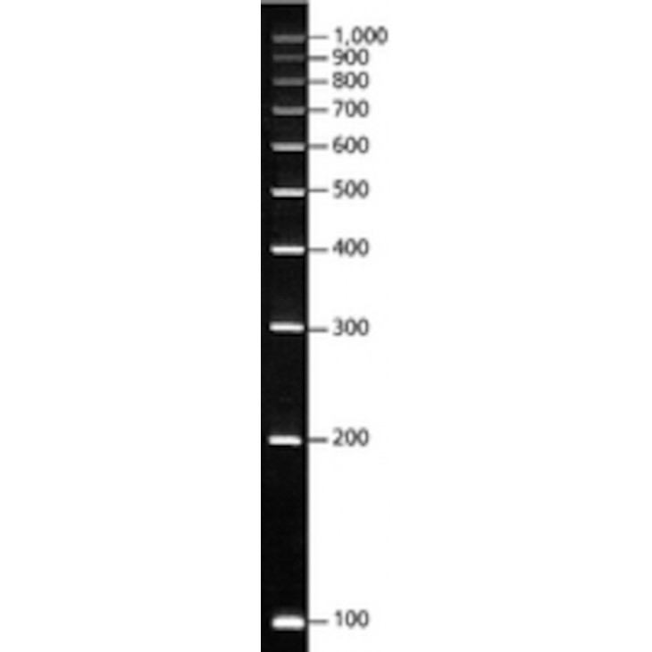 DIRECTLOAD PCR 100 BP LOW LAD- DER SIGMA D3687 - 1 TUBE