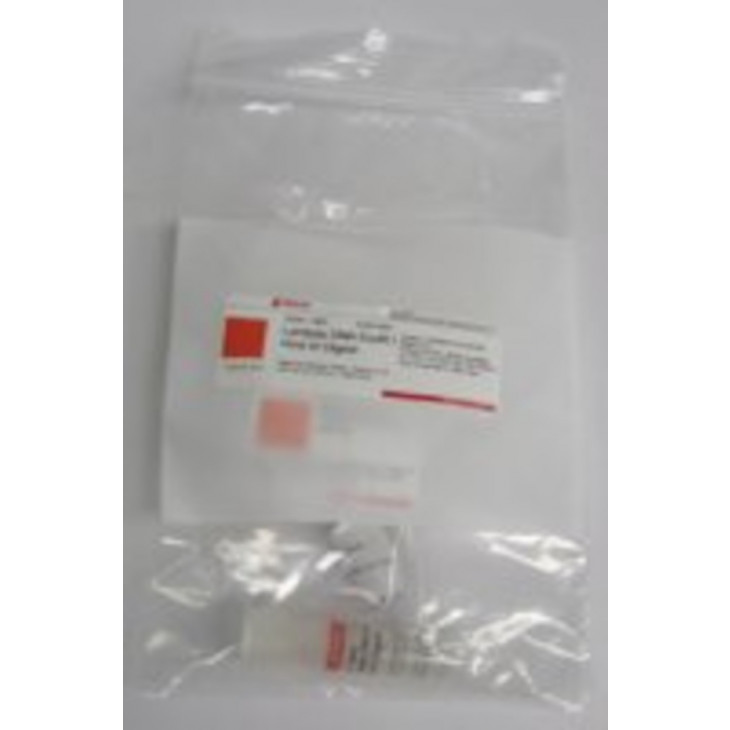 ECOR I HIND III DIGESTION ADN PHAGE LAMBDA SIGMA D9281-.1MG