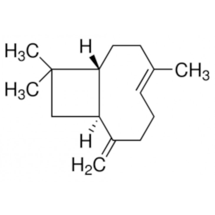 B-CARYOPHYLLENE >80% SIGMA W225207-1KG-K