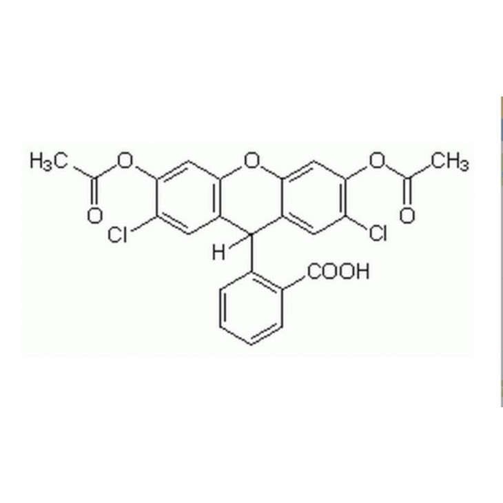 2',7'-DICHLOROFLUORESCIN DIACETATE >94% HPLC - 100MG