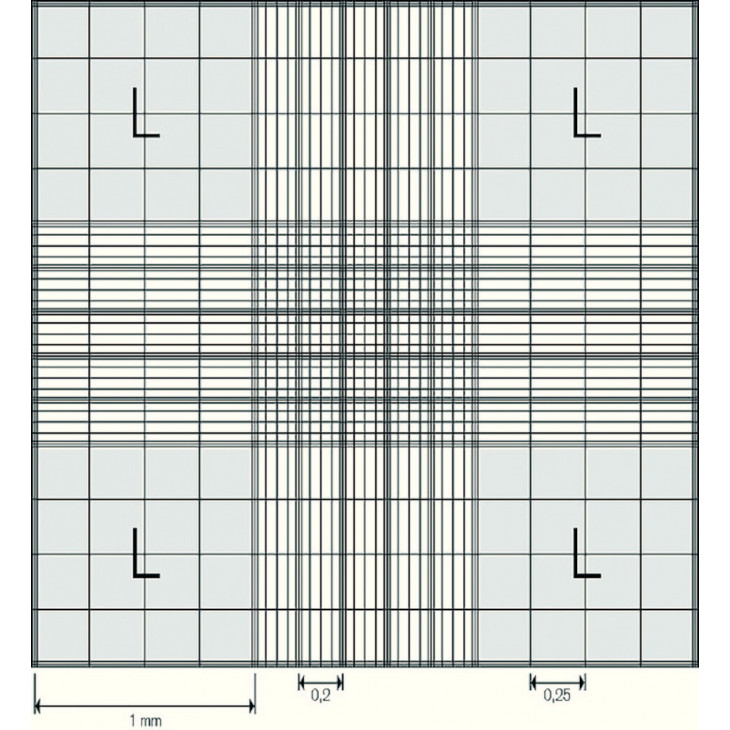 CELLULE DE NUMERATION NEUBAUER BRAND ETALONNABLE SANS PINCE