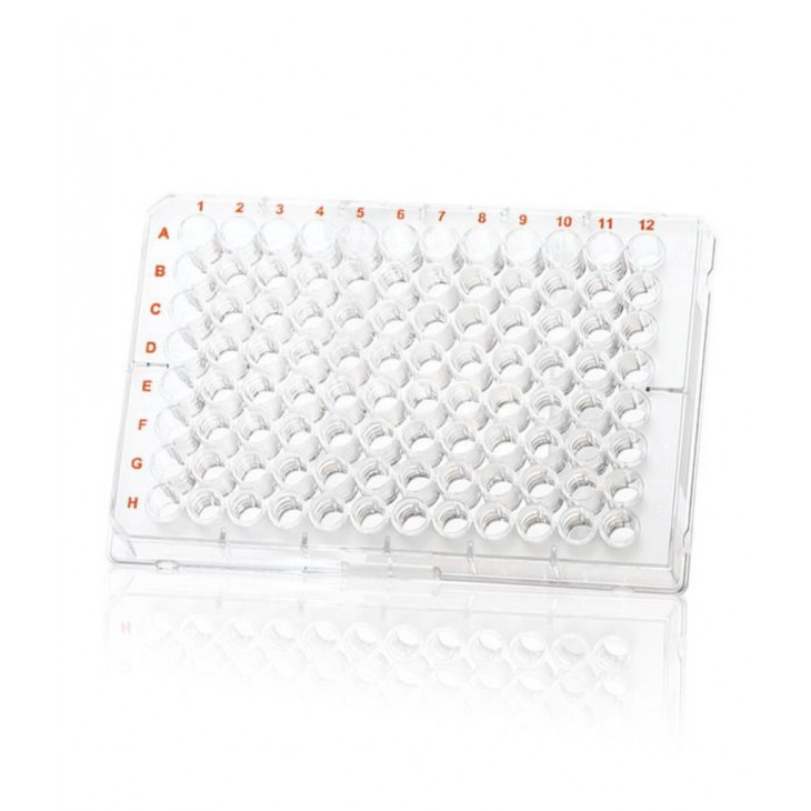 PLAQUE MICROTITRATION 96 PUITS FOND EN V 360UL S/S.U-PACK 50