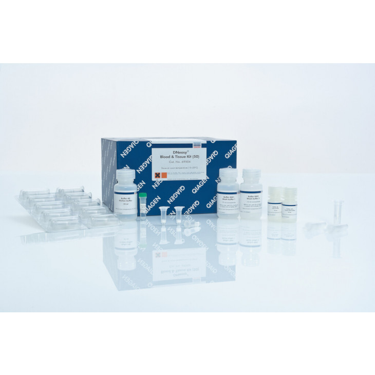 DNEASY BLOOD AND TISSUE KIT PACK DE 50