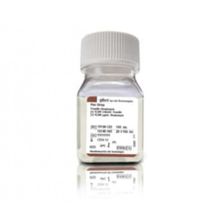 PENICILLINE STREPTOMYCINE 100ML
