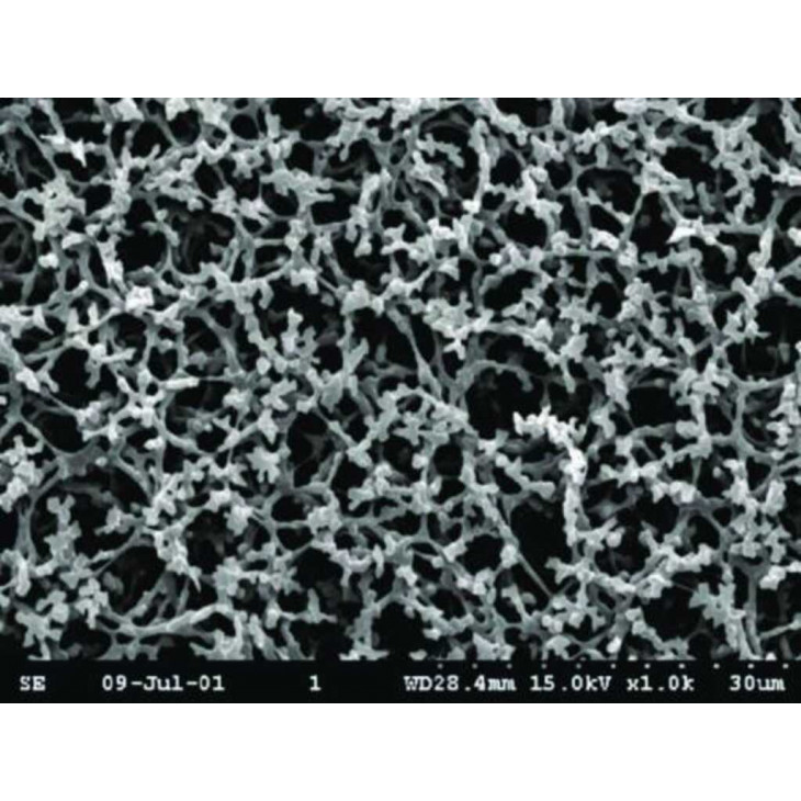 MEMBRANE DE FILTRATION AE99 WHATMAN POR. 8µm - DIAM. 47mm - PACK X100