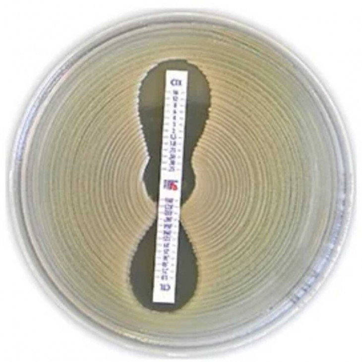 PIPERACILLIN - TAZOBACTAM TZP 0,016/4-256/4 - 30 MIC TEST