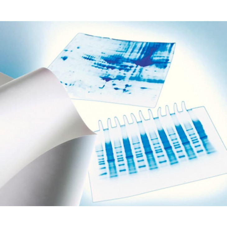 MEMBRANE TRANSFERT PVDF IMMOBILON-P 0,45µM 26,5CM X 3,75M - LE ROULEAU