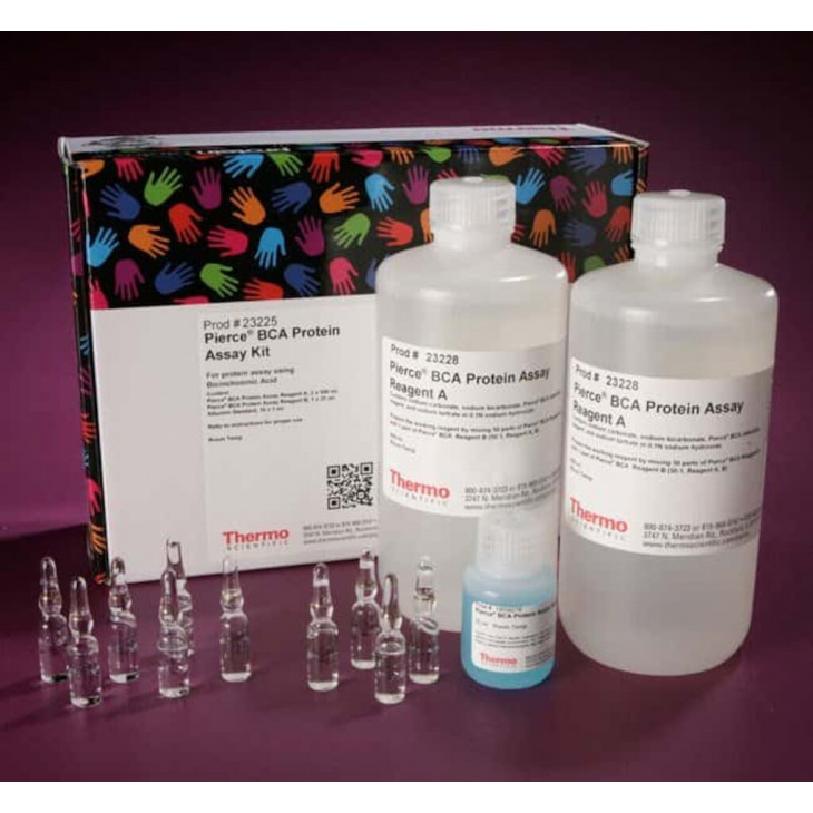 KIT DE DOSAGE PROTEIQUE PIERCE BCA 23225 - 1L