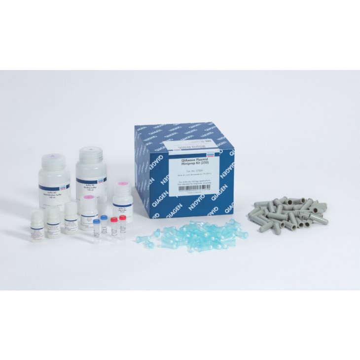 QIAWAVE PLASMID MINIPREP KIT 27206 - PACK DE 250