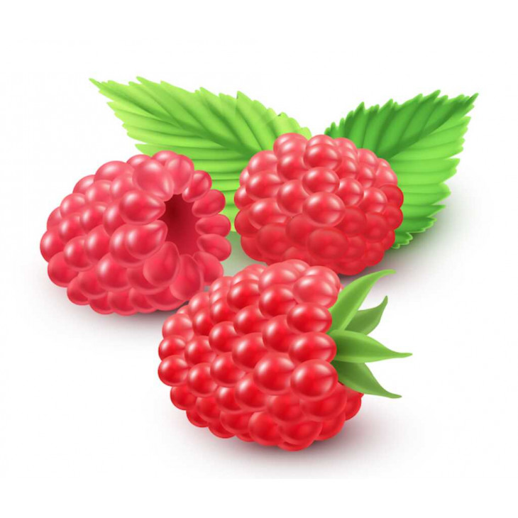 AROME NATUREL FRAMBOISE 15,5% VOL CERT BIO 7.31020 - 5 X 5KG