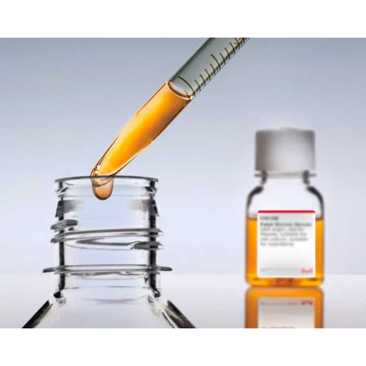 SERUM FETAL BOVIN - F7524 - 100ML