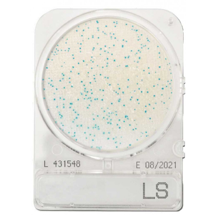 COMPACT DRY LS (LISTERIA) - PAR 1400