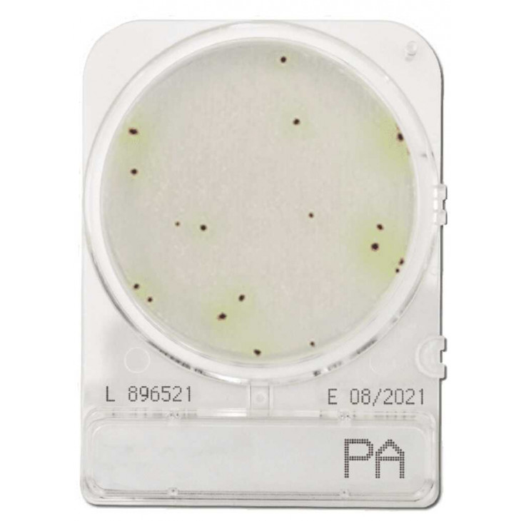 COMPACT DRY PA (PSEUDOMONAS AERUGINOSA) - PAR SACHET DE 4