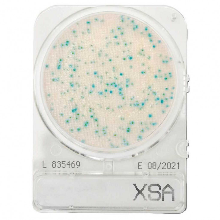 COMPACT DRY XSA (STAPH.AUREUS) - PAR 1400